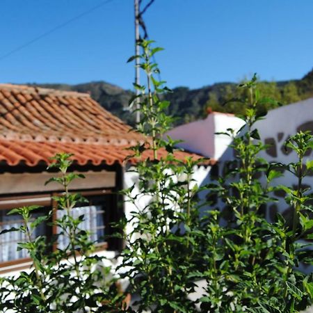Ilusiones Βίλα Tejeda  Εξωτερικό φωτογραφία