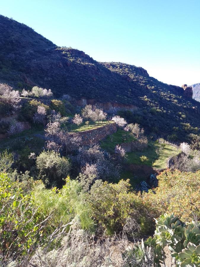 Ilusiones Βίλα Tejeda  Εξωτερικό φωτογραφία